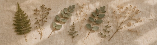 Pressed botanical leaves arranged in a row on cream linen